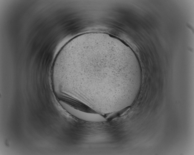 X0000096940960200803071003