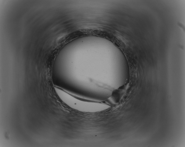 X0000096940965200803071002