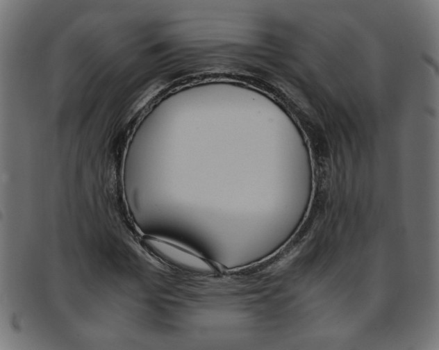 X0000096940969200803071002