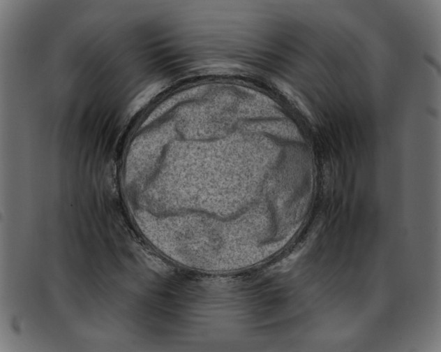 X0000096940970200803071002