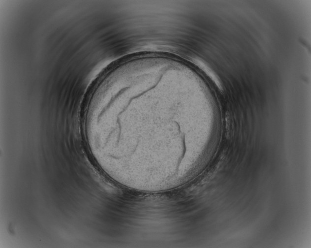 X0000096940972200803071002
