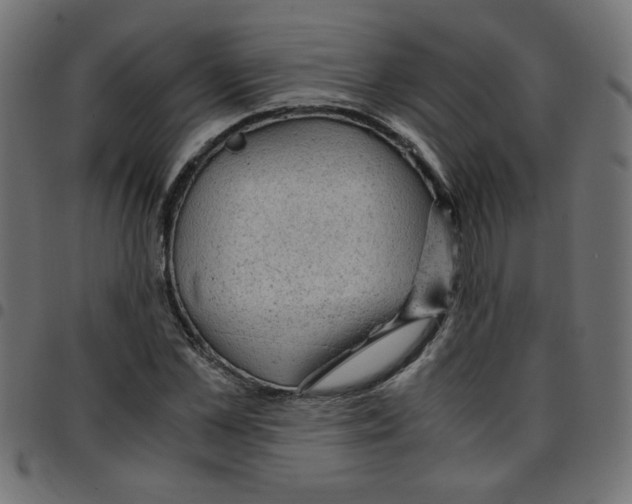 X0000096940973200803071002
