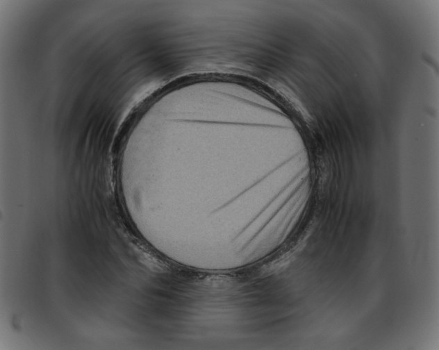 X0000096940974200803071002