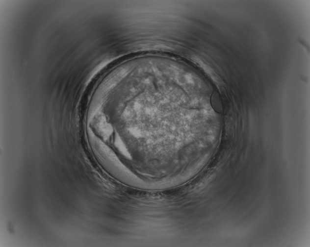 X0000096940975200803071002
