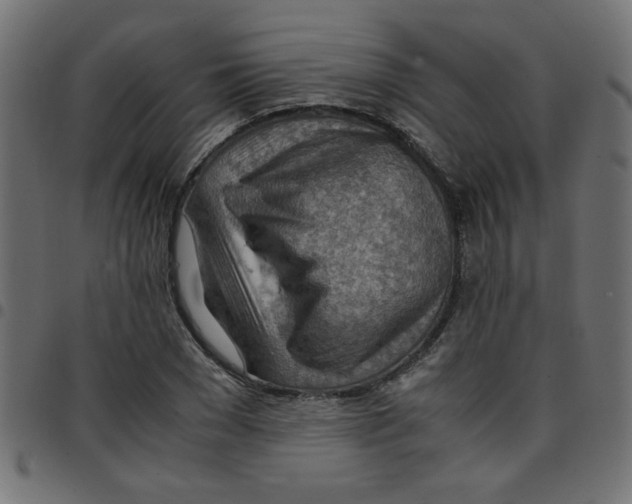 X0000096940977200803071002