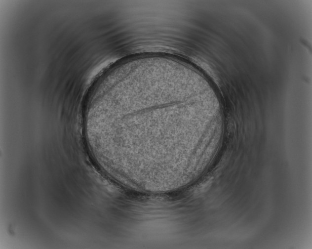 X0000096940979200803071002