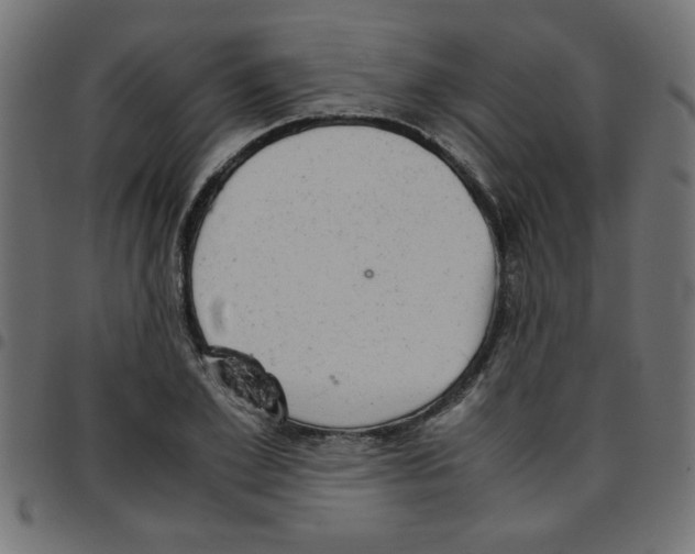 X0000096940981200803071002