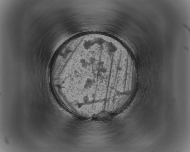 X0000096940983200803071002