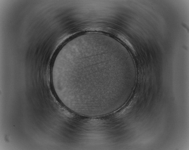 X0000096940984200803071002