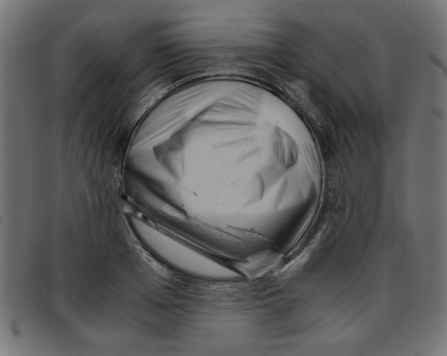 X0000096940985200803071002