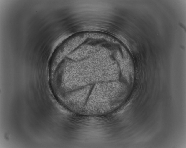 X0000096940987200803071002