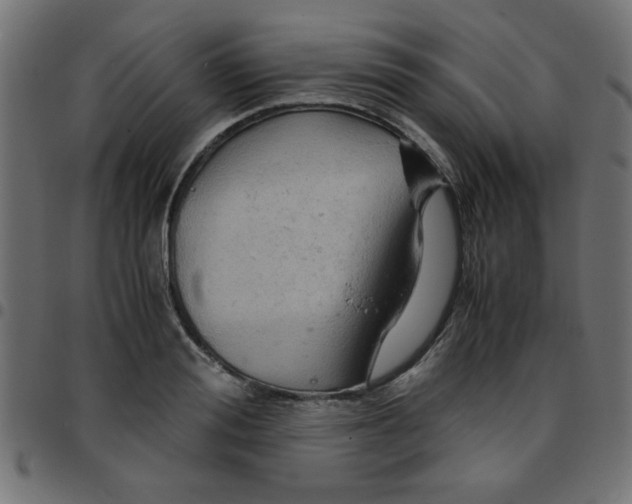 X0000096940988200803071002