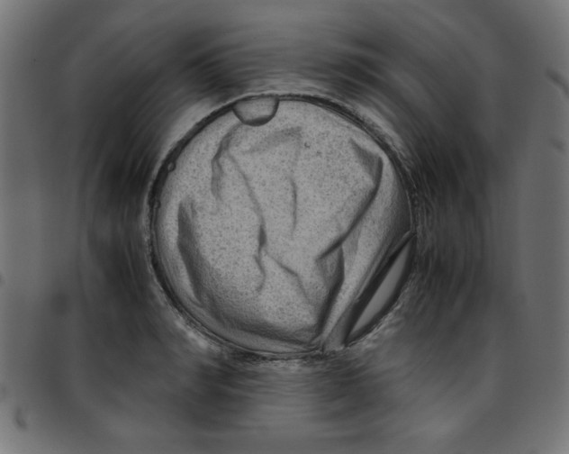 X0000096940990200803071002