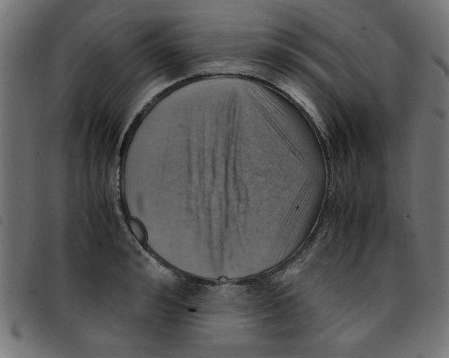 X0000096940992200803071002