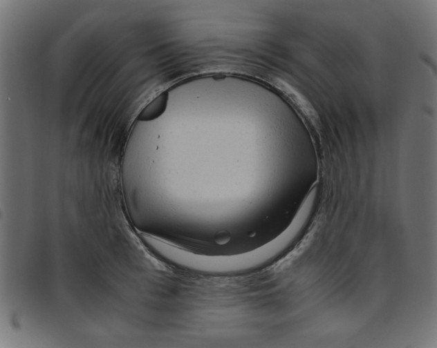 X0000096940993200803071002