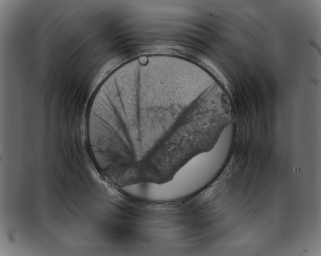 X0000096940994200803071002