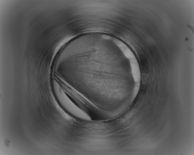 X0000096940995200803071002