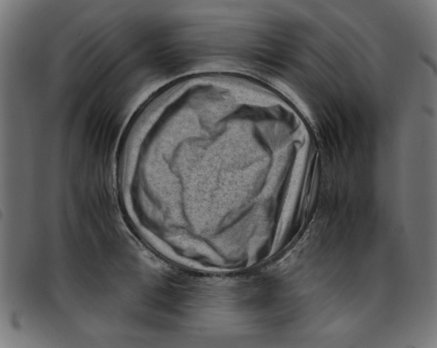 X0000096940996200803071002