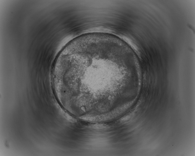 X0000096940998200803071002