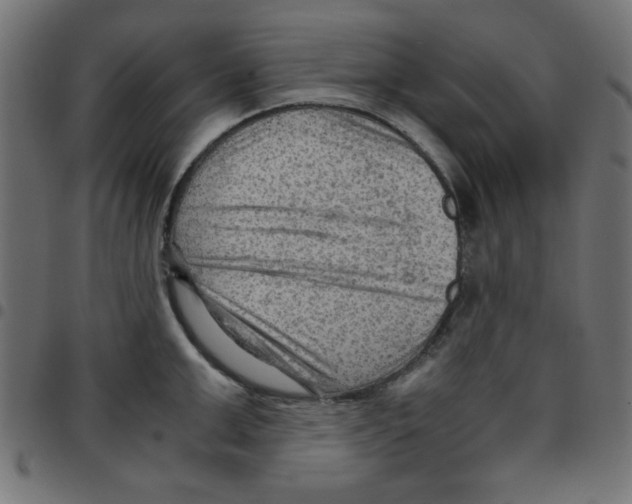 X0000096940999200803071002