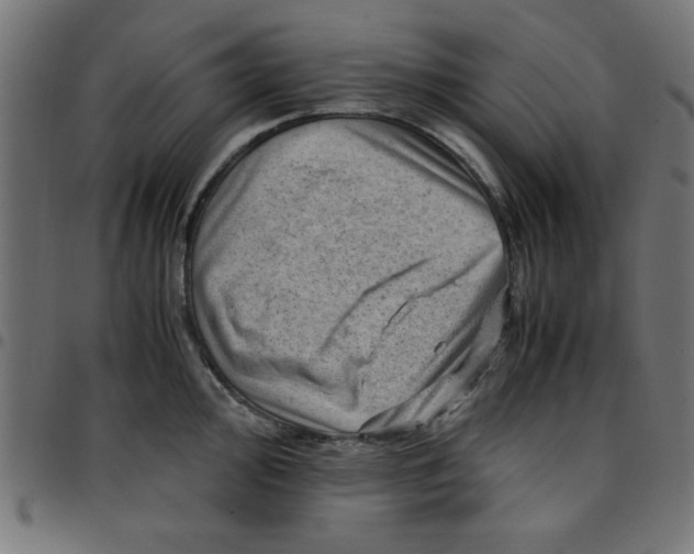 X0000096941000200803071002