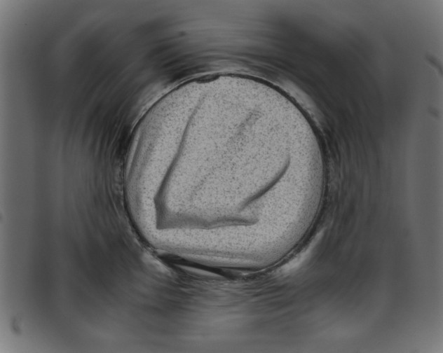 X0000096941001200803071002