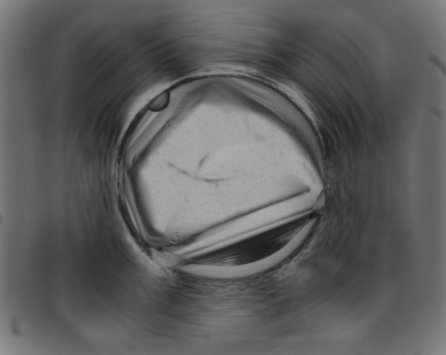 X0000096941003200803071002