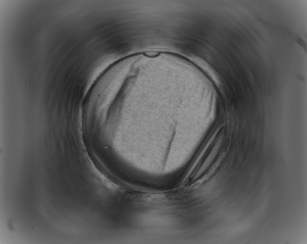 X0000096941006200803071002
