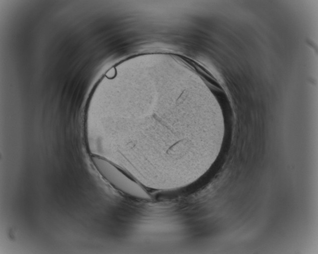 X0000096941008200803071002