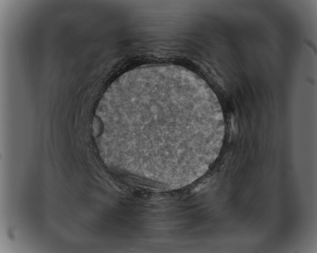 X0000096941009200803071001