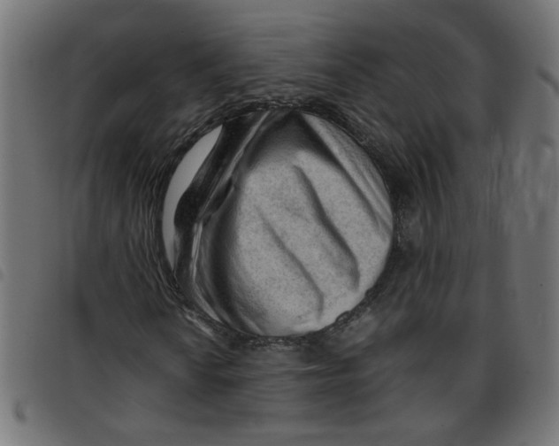 X0000096941010200803071001