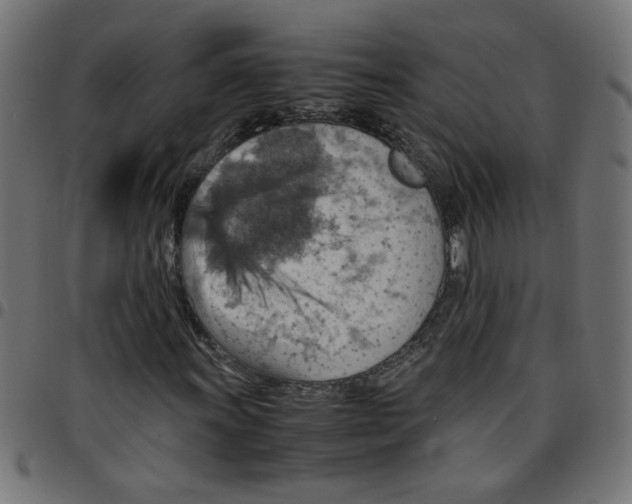 X0000096941011200803071001