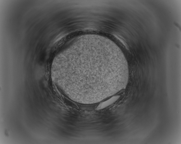 X0000096941015200803071001