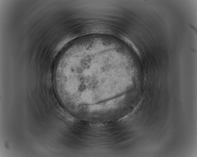 X0000096941019200803071001