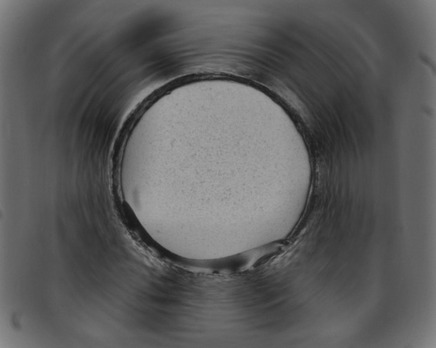 X0000096941020200803071001