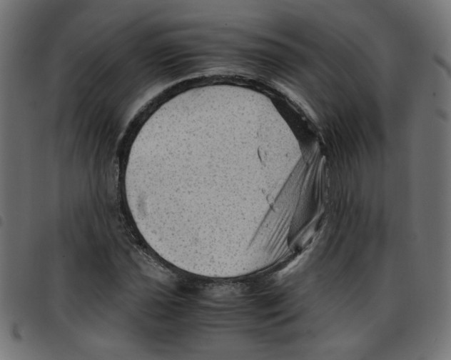 X0000096941021200803071001