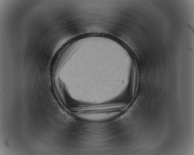 X0000096941022200803071001