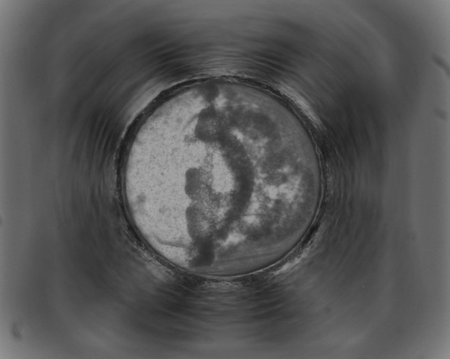 X0000096941023200803071001