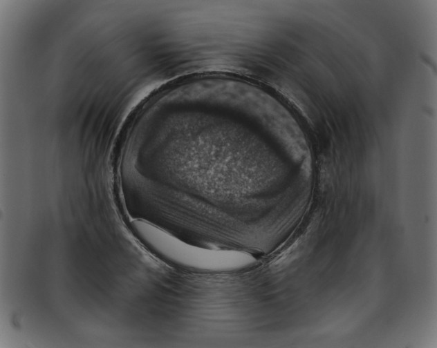 X0000096941024200803071001