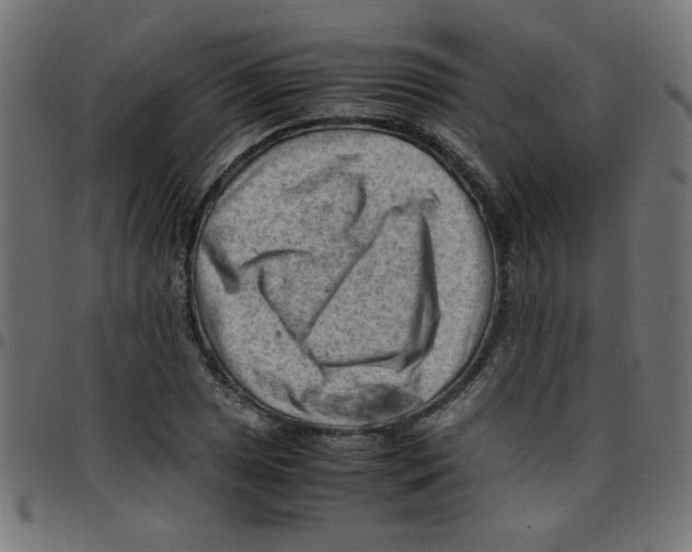 X0000096941025200803071001
