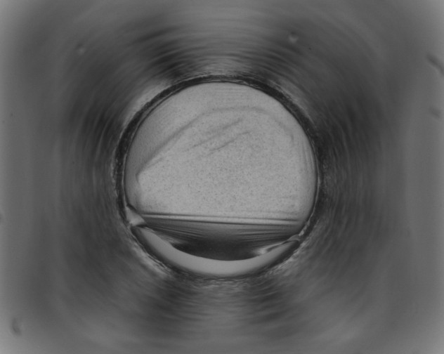 X0000096941026200803071001