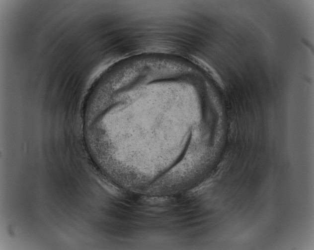 X0000096941027200803071001