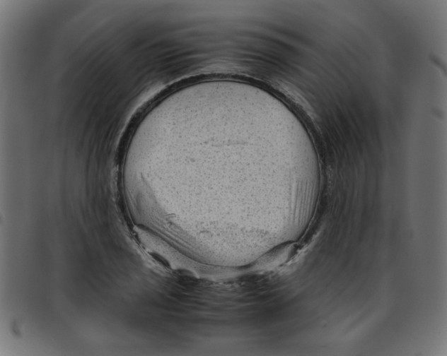 X0000096941029200803071001