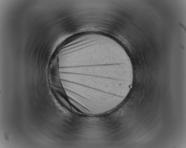 X0000096941030200803071001