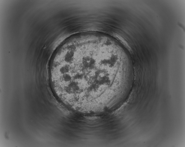X0000096941031200803071001