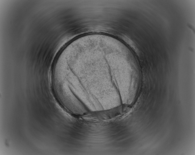 X0000096941032200803071001