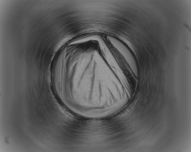 X0000096941034200803071001