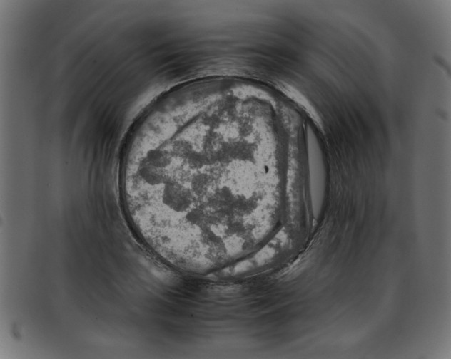 X0000096941035200803071001