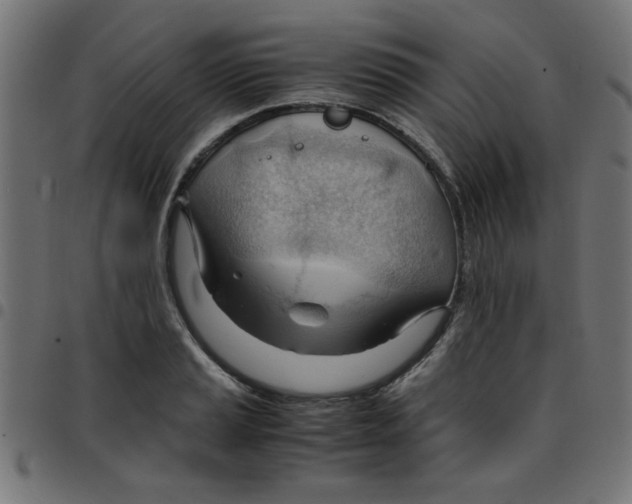 X0000096941037200803071001