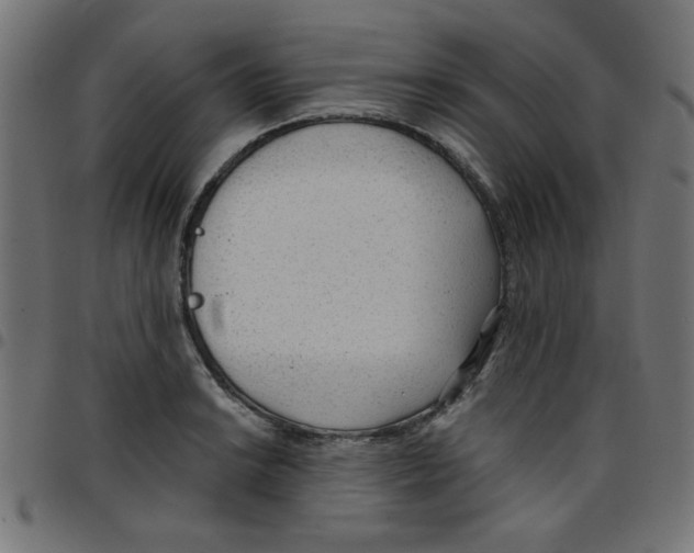 X0000096941038200803071001